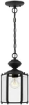 Seagull 6008-12 Traditional One Light Outdoor Semi-flush Convertible Pendant Fro. Fixed Price $131.41.