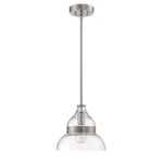 Craftmade 1-LIGHT Brushed Nickel Mini Pendant, Seeded Glass, 100W (no Bulb). Fixed Price $69.95.