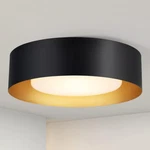 Yasince Modern Black And Gold Flush Mount Ceiling 16.5 In,. Fixed Price $138.80.