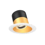 Dals Lighting RC06-CC-20-SL-TL Versa Led Canless Recessed Fixture Gold. Fixed Price $270.20.
