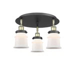 Innovations Lighting 916-3C-9-17 Canton Flush 17"W Multicolor. Fixed Price $343.20.