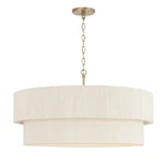Capital Lighting Delaney Pendant, Brass - 349842MA. Fixed Price $978.00.