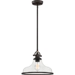 Quoizel Grant 14" Pendant Light In Palladian Bronze. Fixed Price $309.99.