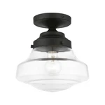 Livex Avondale Light Semi-flush, Black/clear 41291-04. Fixed Price $111.96.