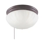 Westinghouse 67202 8-3/4-INCH Sienna Ceiling Fixture With Pull Chain Quantity. Fixed Price $44.22.