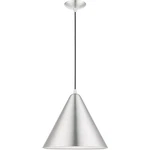 Livex Lighting 41176-66 Dulce Pendant. Fixed Price $151.17.