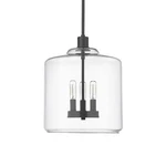 Millennium Lighting 46933 Asheville 12"W Pendant - Black. Fixed Price $239.90.