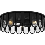 Quoizel VEA1616 Vera 3 Light 16"W Flush Mount Drum Ceiling - Black. Fixed Price $207.99.