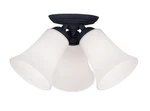 Livex Lighting 6462-04 Ridgedale Semi-flush Mount Black. Fixed Price $100.77.