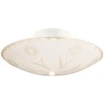 Design House 501619 Traditional 2-LIGHT Indoor Semi-flush Ceiling Mount Dimma.... Fixed Price $30.29.
