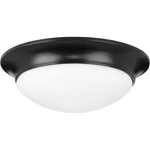 Progress Lighting P350147 2 14"W Flush Mount Bowl Ceiling - Black. Fixed Price $58.56.