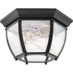 Progress Lighting Black 11IN Roman Coach 2 Outdoor Porch P601931 Seeded. Fixed Price $64.88.