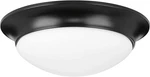 Progress Lighting 2-LIGHT 14" Etched Glass Flush Mount, Matte Black. Fixed Price $49.99.
