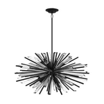 Avenue Lighting Palisades Ave. 10 22" Chandelier, Black HF8203-BK. Fixed Price $2188.00.