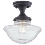 Design House 587444 9"W Semi-flush Ceiling Fixture Black. Fixed Price $55.63.