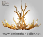 One Tier Real Antler Chandelier, 12 Lights, Rustic Deer Lamp Acs, Elksngl. Fixed Price $3998.00.