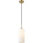 Z-lite 732P17-HBR Monty Light 5.25 Inch Heritage Brass Pendant Ceiling. Fixed Price $113.90.