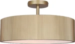 Modern Gold 2-LIGHT Semi-flush Mount Ceiling For Bedroom Kitchen. Fixed Price $283.99.