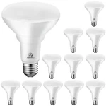 Energetic Led Recessed Light Bulbs BR30, 85W Equivalent, Dimmable, Warm White.... Fixed Price $46.10.