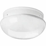 Progress Lighting P3412-30 Fixture Progess Without Bulb. Fixed Price $29.95.