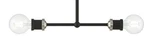 Livex Lighting 47162 Lansdale 5"W Commercial Linear - Black / Brushed. Fixed Price $125.96.