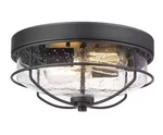 Jazava 12 In. 2-LIGHT Farmhouse Black Ceiling Fixture Seeded Glass Shade. Fixed Price $39.99.