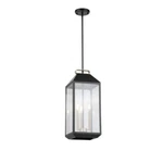 Luminosa 9 In. W 3-LIGHT Matte Black & Gold Clear Glass Pendant Chandelier. Fixed Price $56.28.