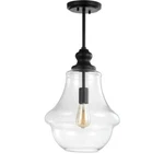 Jonathan Y Clear Glass Bowl Pendant, Oil Rubbed Bronze. Fixed Price $49.99.
