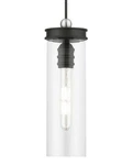 Livex Lighting 41236 Devoe 5"W Mini Pendant - Black / Brushed Nickel Accent. Fixed Price $129.96.