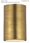 Z-lite 2302F1 Harley 5"W Flush Mount Ceiling Fixture Brass. Fixed Price $35.00.