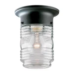 Westinghouse 66919 Matte Black 1-LIGHT Jelly Jar Ceiling Fixture 4-3/4 In.. Fixed Price $18.40.