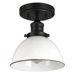 Design House 588319 Savannah 8"W Semi-flush Ceiling Fixture Black. Fixed Price $53.59.