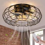 Ceiling Fan With Lights, 16 Inch Caged Remote Control Smal.... Fixed Price $73.57.