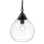 Golden Lighting 1094-S-HCG Ariella 10"W Mini Pendant Matte Black / Seafoam. Fixed Price $179.99.