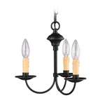 Livex Lighting 4453-04 Heritage Mini Chandelier Black. Fixed Price $179.96.