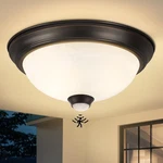 Fandbo Smart Motion Sensor Outdoor Ceiling Light With Remote, Dusk To Dawn Fl.... Fixed Price $46.50.