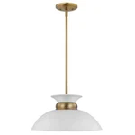 Satco Perkins 100-WATT 1-LIGHT Matte White/burnished Brass Shaded Pendant. Fixed Price $85.99.