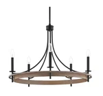 Home Decorators Woodbrier 5-LIGHT Black Medium Tone Finish Chandelier. Fixed Price $99.50.