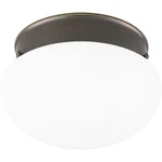 Progress Lighting P3408-33 Close-to-ceiling Fixture Cobblestone. Fixed Price $14.99.