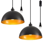 Plug Pendant Light 2 Pack Industrial Hanging Lamp With Golden Finish Insid.... Fixed Price $57.66.