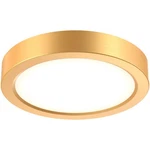 Dals Lighting CFLEDR10-CC-GD Delta Flush Mount Gold. Fixed Price $104.72.