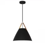 Dsi DSHD19559P Harper 1-LIGHT Matte Black Pendant With Metal Shade. Fixed Price $59.98.