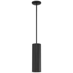 Access Lighting Pilson 1-LIGHT Matte Black Metal Pendant With Shade. Fixed Price $24.95.