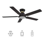 Essex 52 In. Dimmable Led Indoor/outdoor Black Smart Ceiling Fan With Light And. Fixed Price $179.09.
