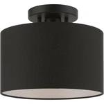 Livex Lighting 45662-04 Bainbridge Semi-flush Mount Black. Fixed Price $107.96.