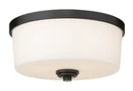 Z-lite 220F3-MB Arlington Light 14"W Flush Mount Drum Ceiling Matte Black. Fixed Price $91.66.