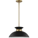 Nuvo Lighting 60/7460 Perkins Pendant Matte Black/burnished Brass. Fixed Price $167.99.