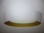 Jazava 13.8 In. 1-LIGHT Living Room Hallway White Flush Mount Ceiling. Fixed Price $44.95.