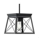 Progress Lighting P500041-031 Briarwood Pendants, Ceruse Black 9.00X10.00X10.00. Fixed Price $50.00.