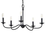 Pacolet 28 In. 5-LIGHT Textured Black Farmhouse Circle Chandelier By Progress L.. Fixed Price $74.48.